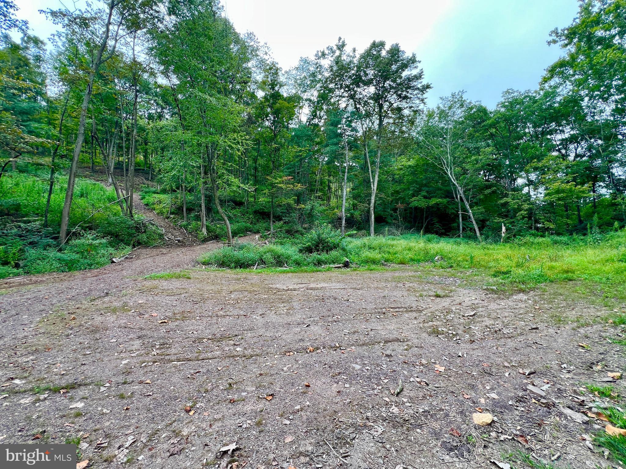 0 Raven Run Road Saxton, PA 16678 - Photo 21 of 21 a view of a yard with plants