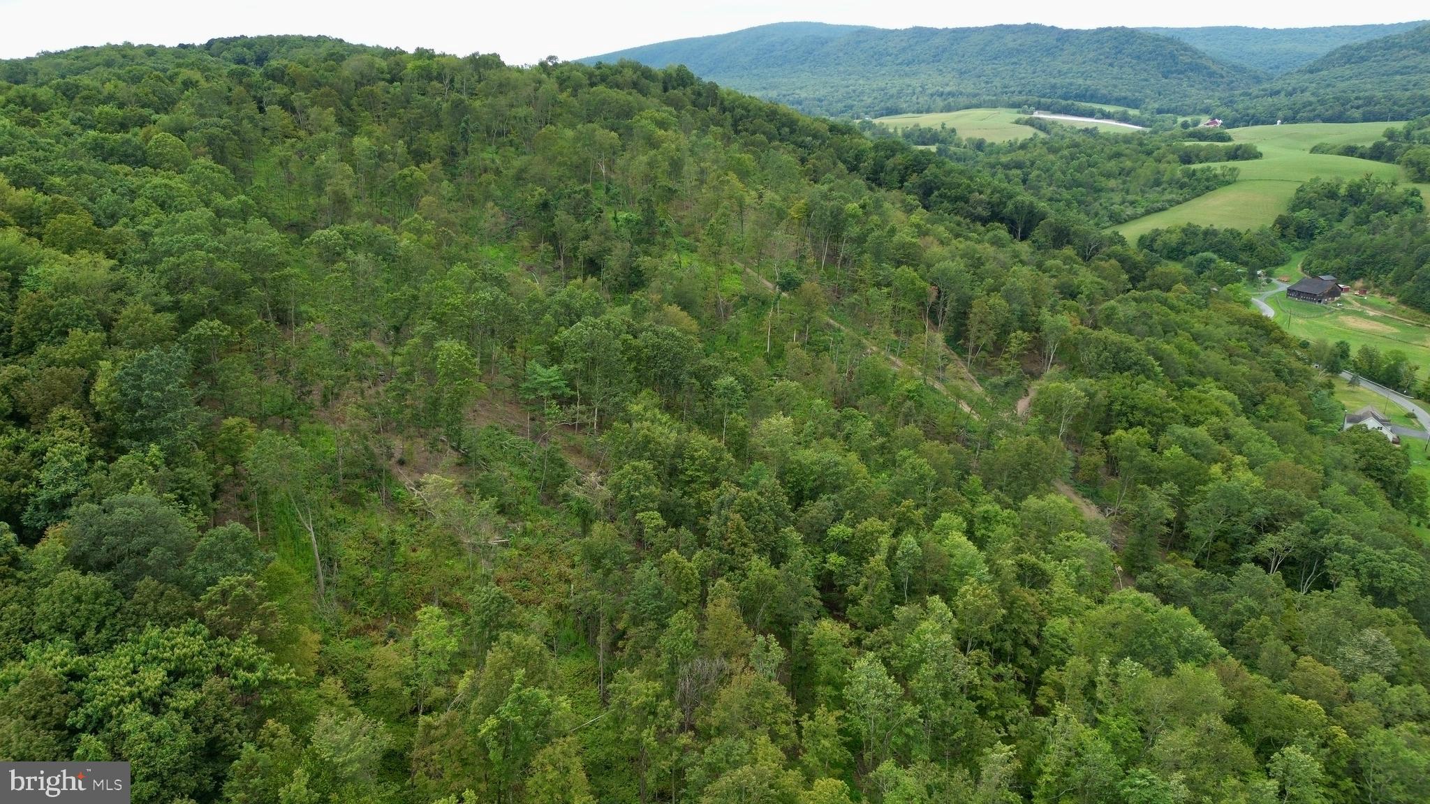 0 Raven Run Road Saxton, PA 16678 - Photo 3 of 21 a view of a lush green forest with lush green forest