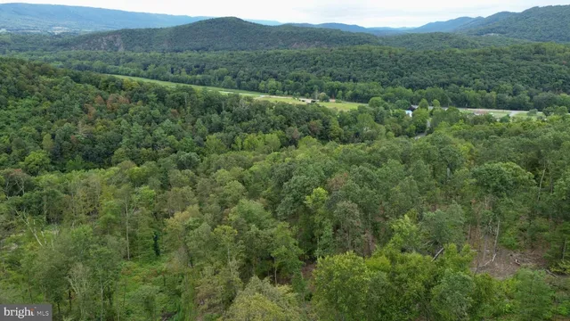 a view of a lush green forest with trees and some houses