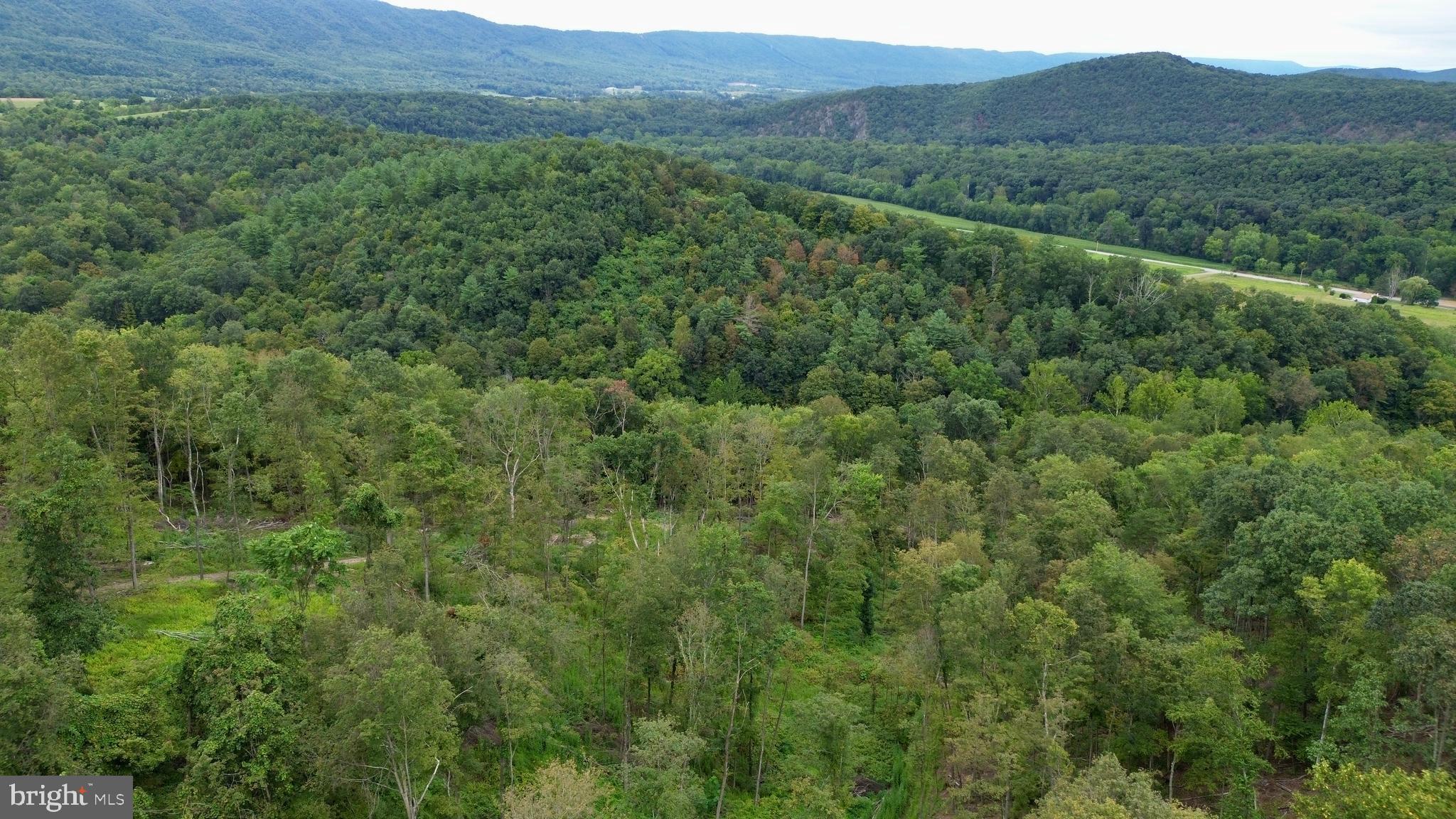 0 Raven Run Road Saxton, PA 16678 - Photo 6 of 21 a view of a lush green forest with lush green forest