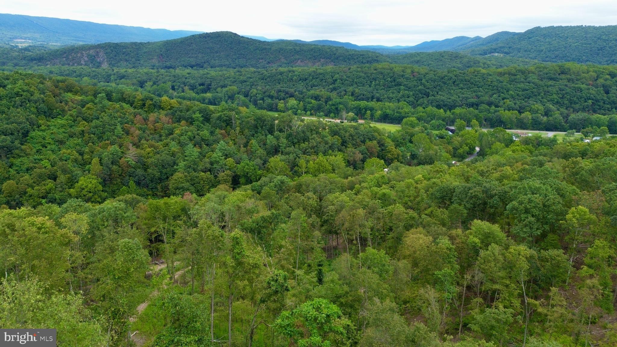0 Raven Run Road Saxton, PA 16678 - Photo 8 of 21 a view of a lush green forest with lush green forest