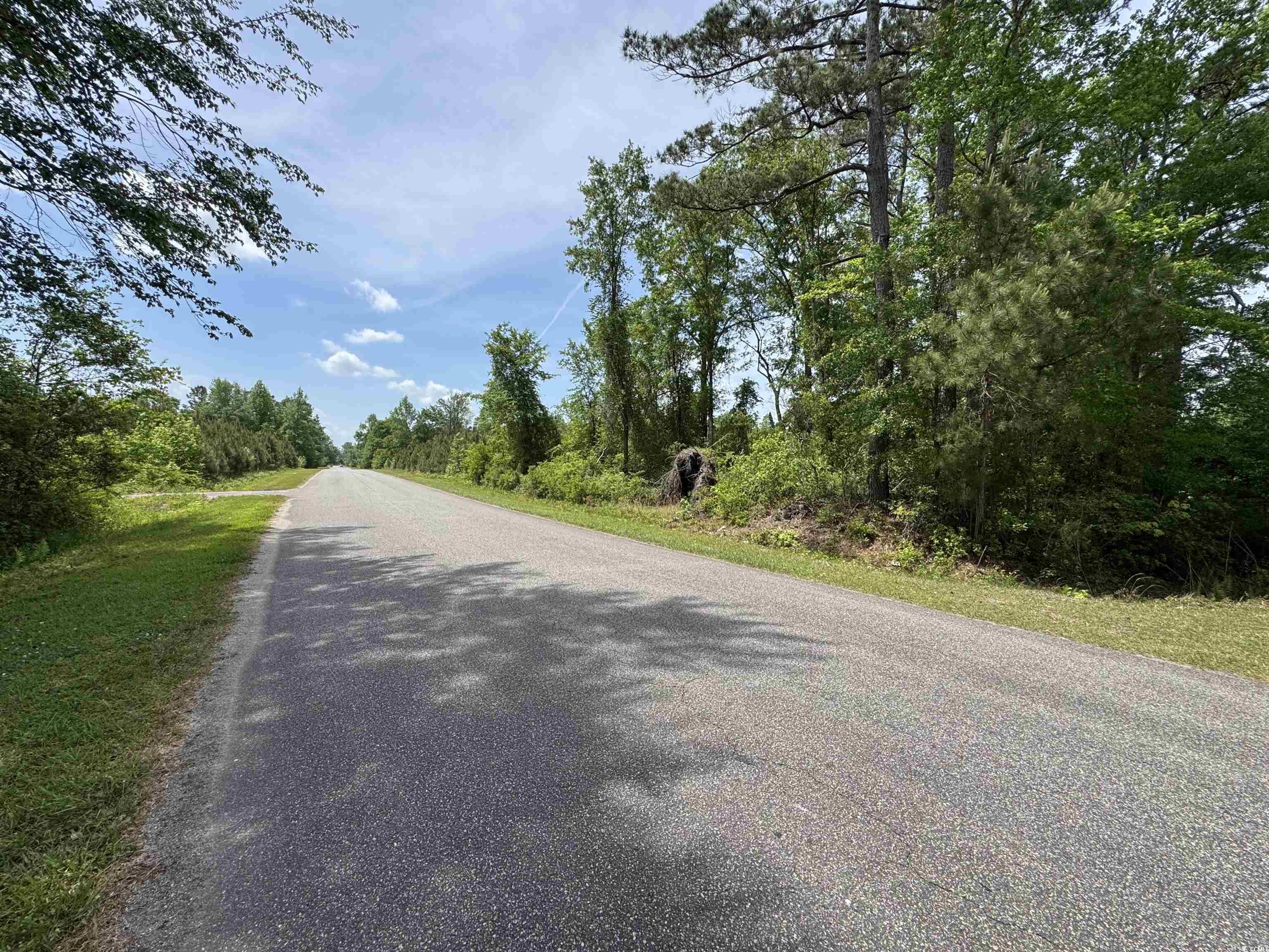 Tbd Cannon Road Loris, SC 29569 - Photo 12 of 12 View of road