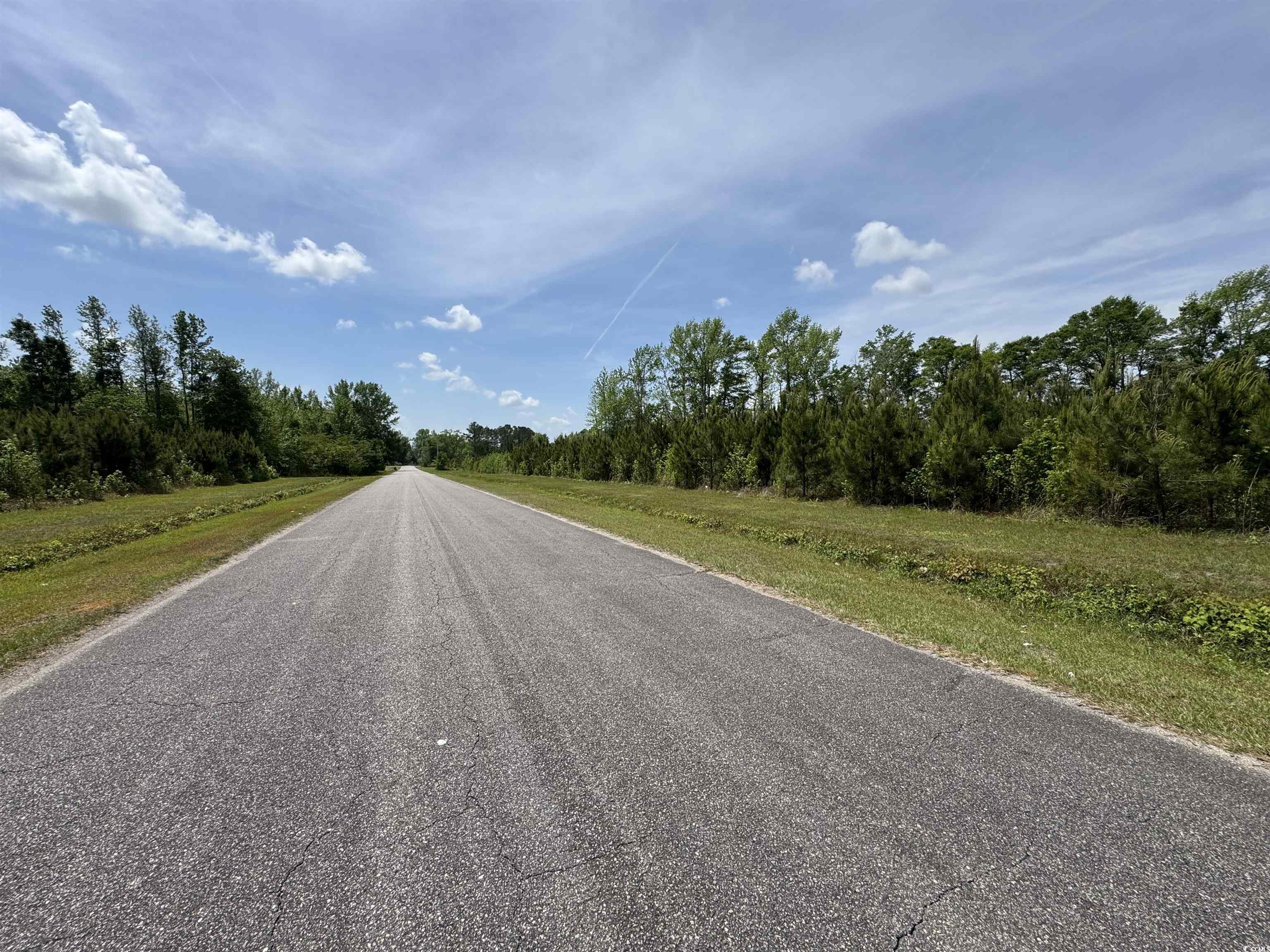 Tbd Cannon Road Loris, SC 29569 - Photo 10 of 12 View of street