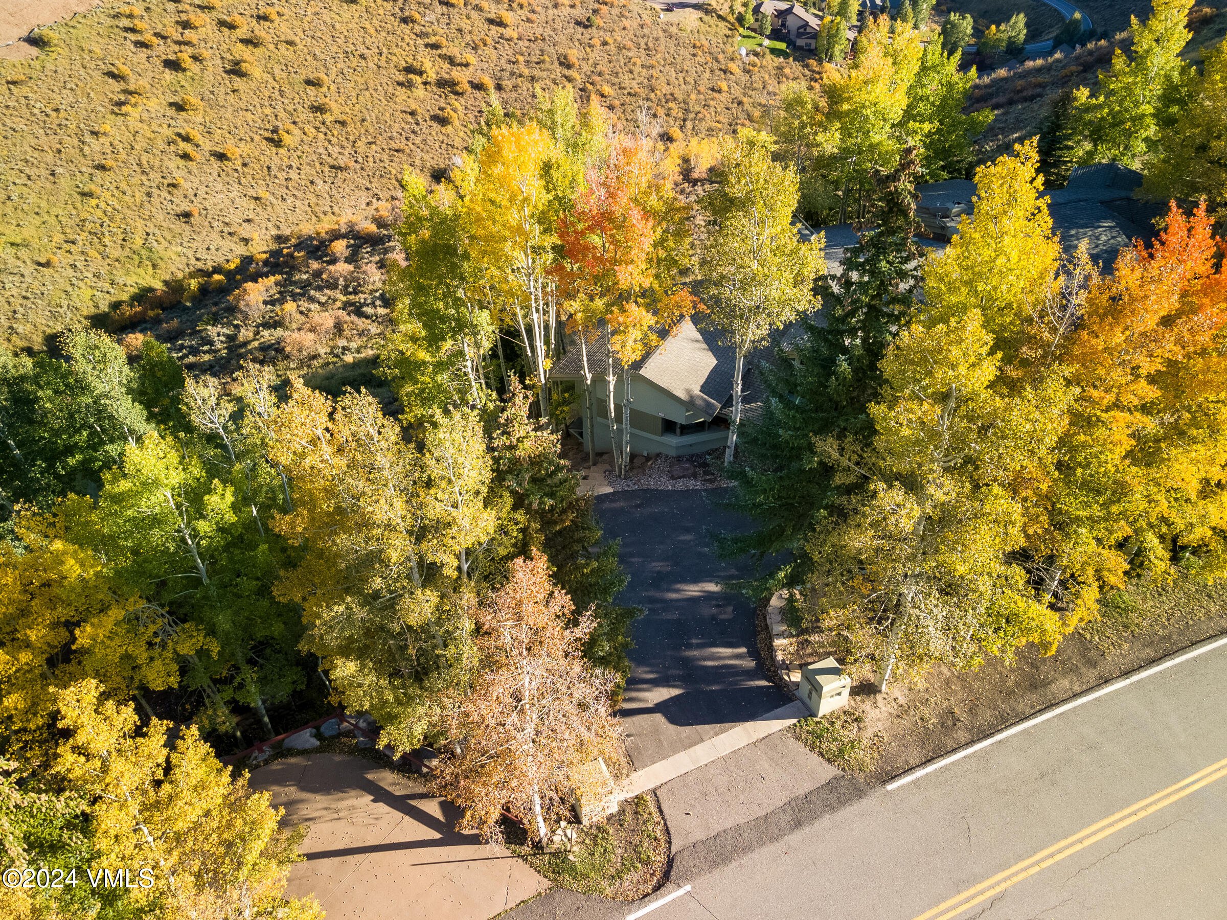 4747 Wildridge Road Avon, CO 81620 - Photo 43 of 51 a view of a yard with plants