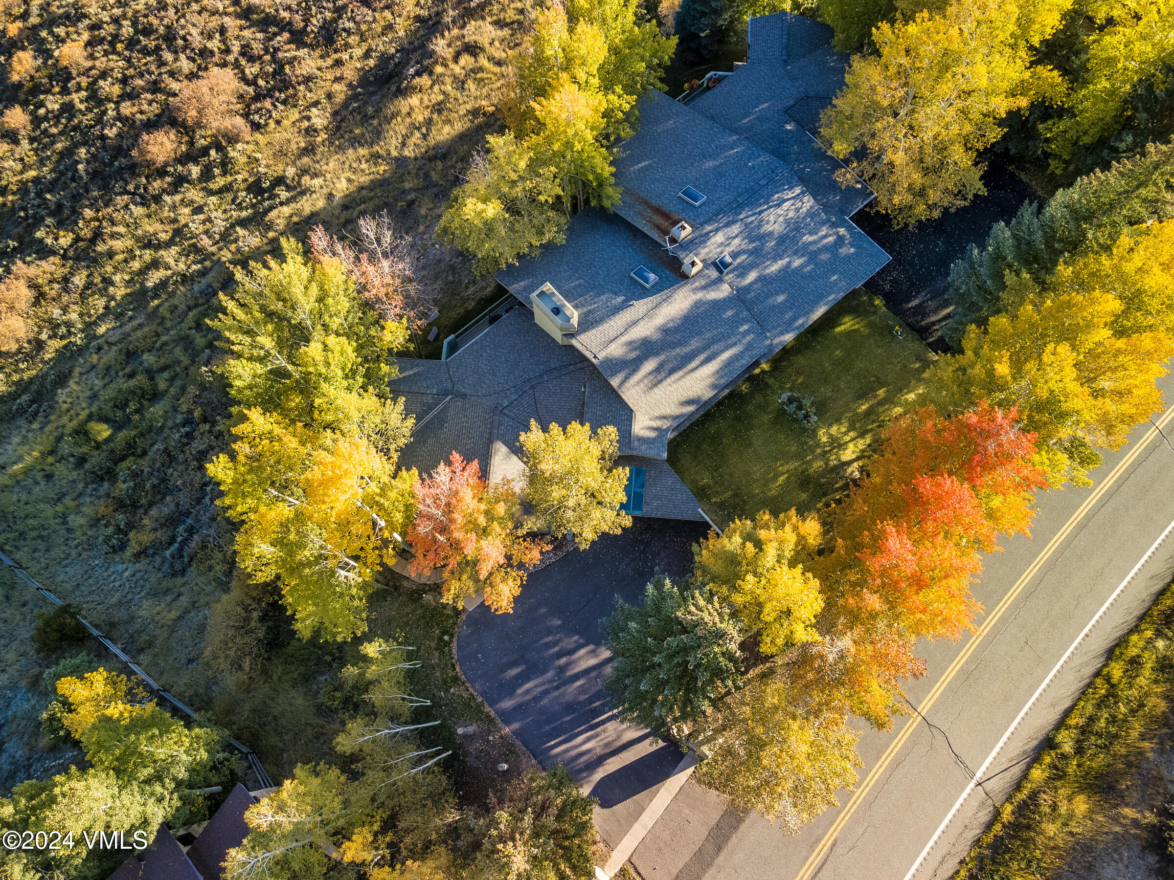 4747 Wildridge Road Avon, CO 81620 - Photo 47 of 51 a view of a flower