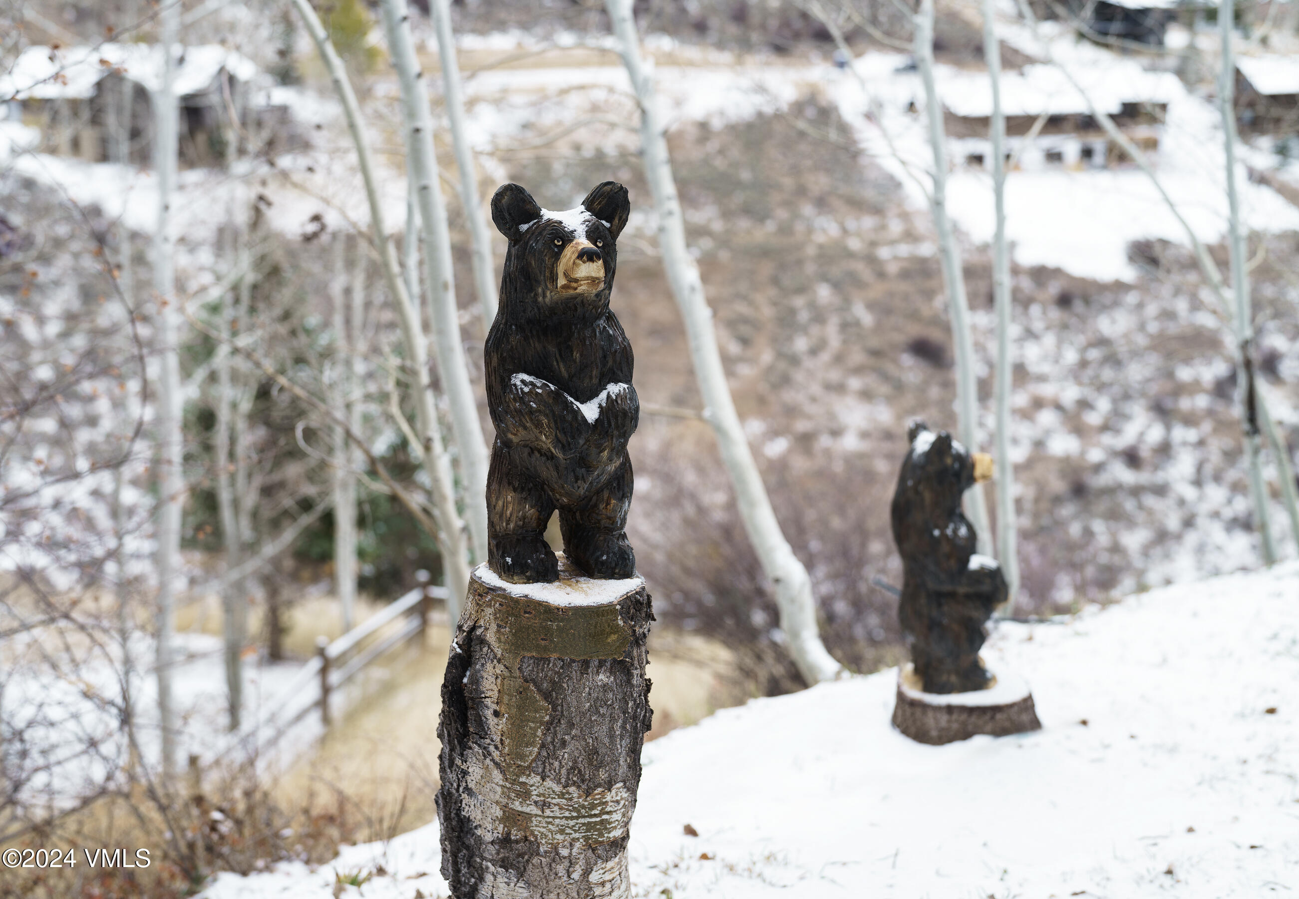 4747 Wildridge Road Avon, CO 81620 - Photo 7 of 51 a close view of sink