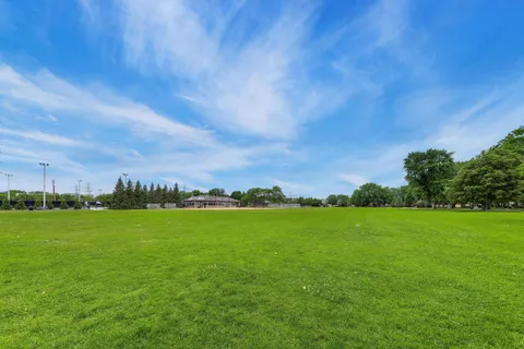 a view of a big yard with a large trees