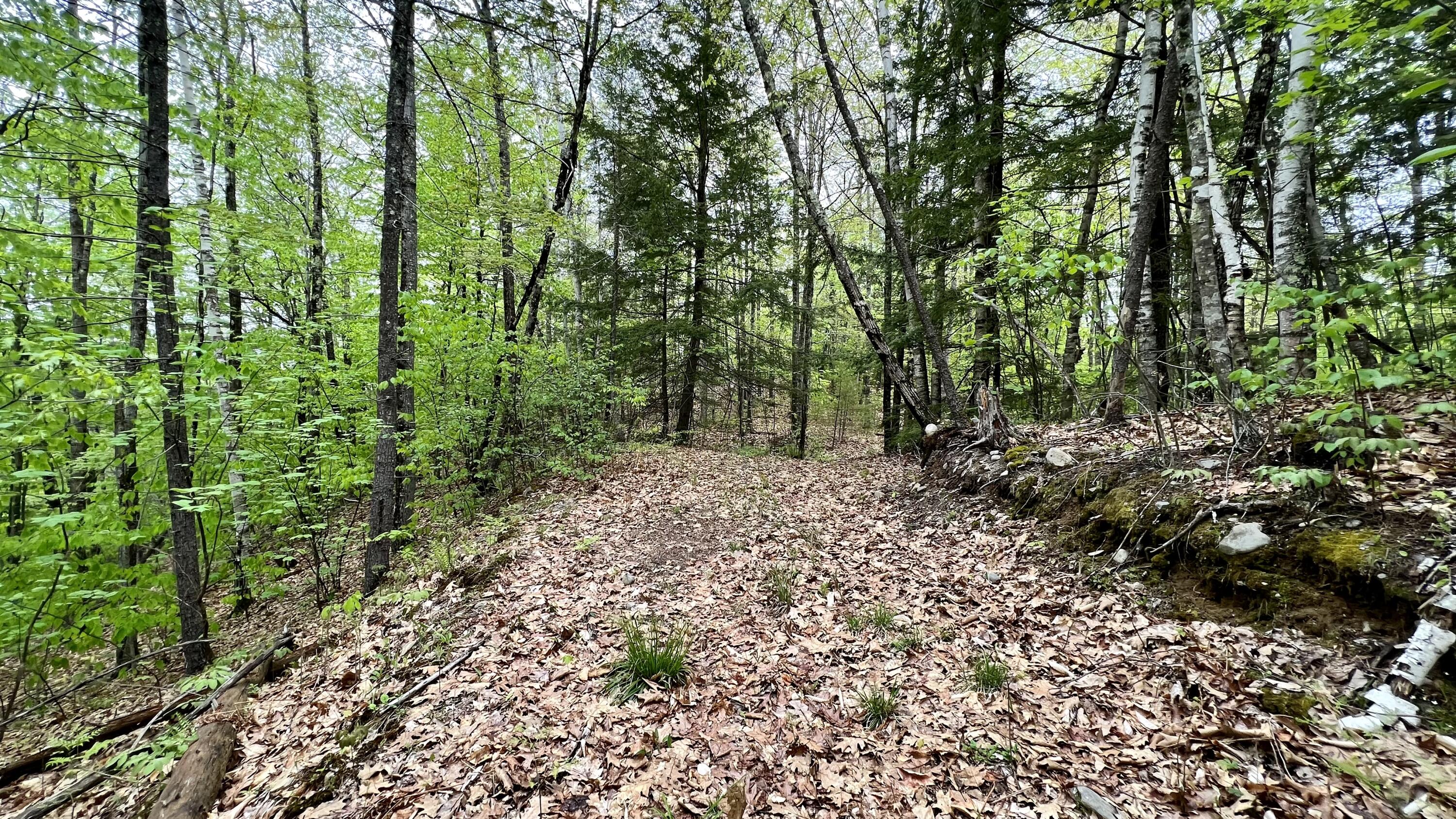 Lot 1-1 Madison Road Norridgewock, ME 04957 - Photo 16 of 20 Trail