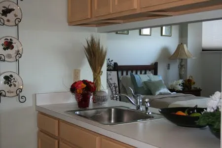 a kitchen with a sink and a potted plant