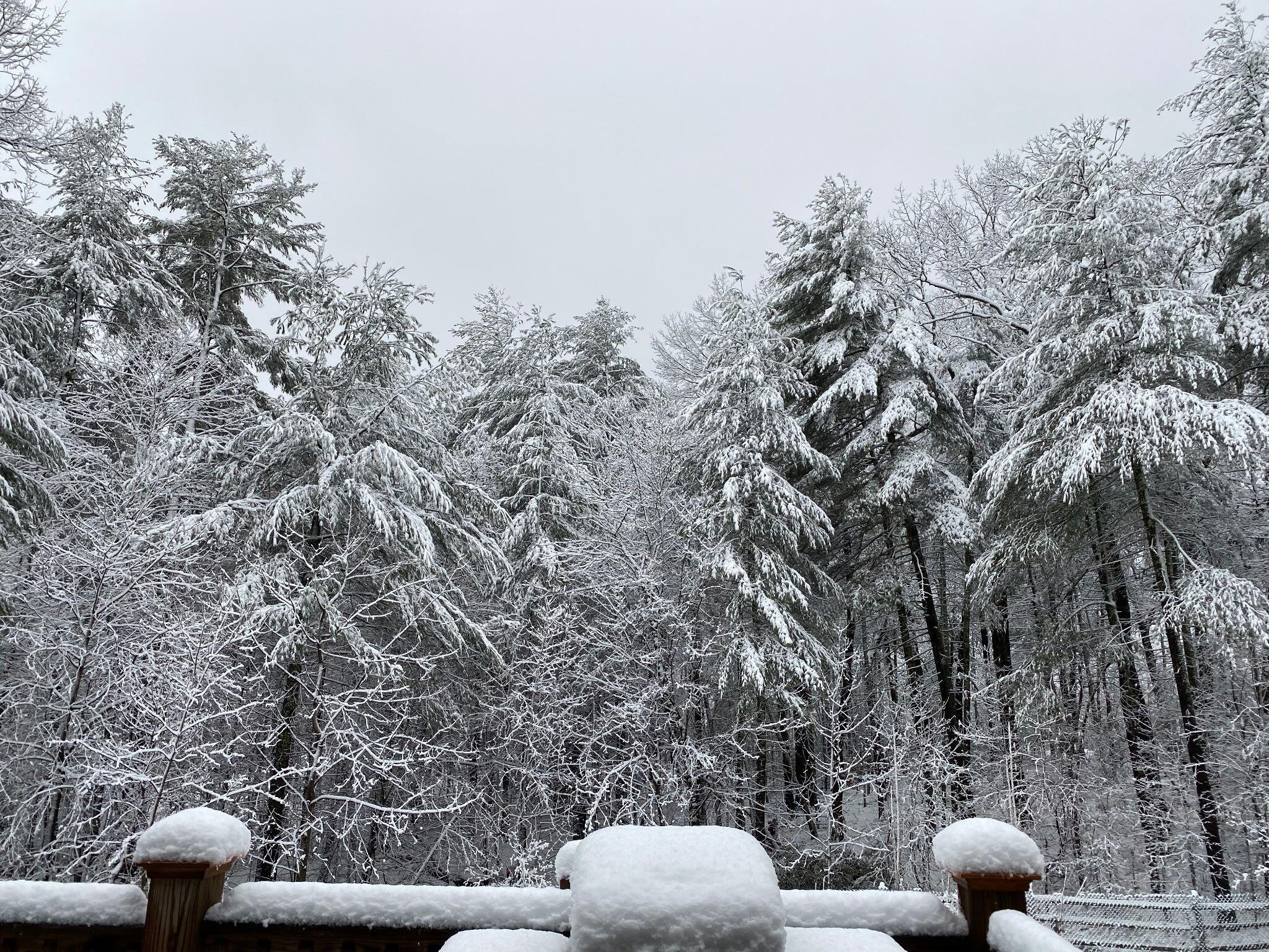 137 Shanleys Loop Ferrum, VA 24088 - Photo 44 of 47 Winter Wonderland