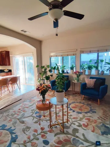 a living room with furniture and a potted plant