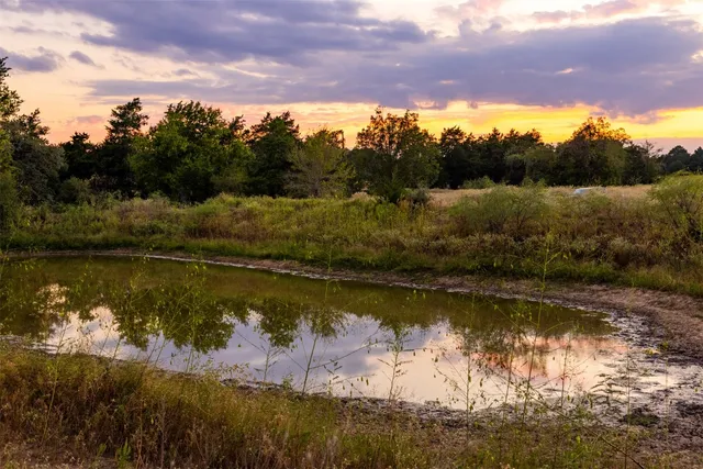 a view of a lake from a yard