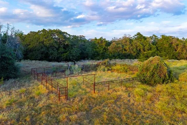 a view of a bunch of trees