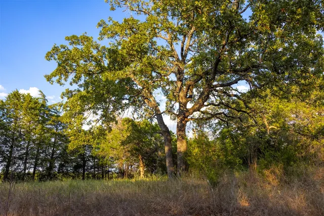 a view of yard with swimming pool and green space