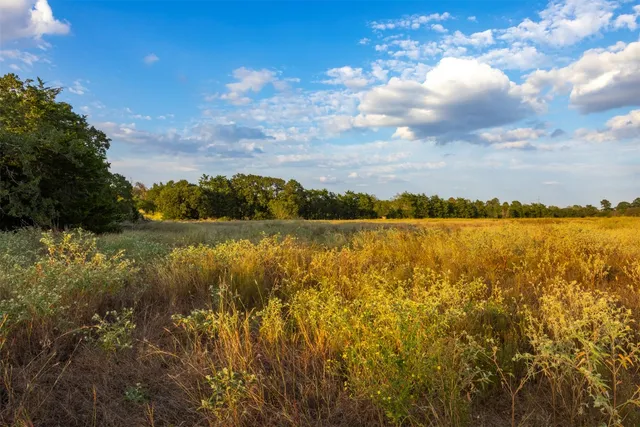 a view of a lake