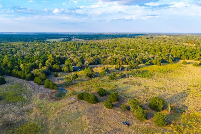 a view of a lake with a city