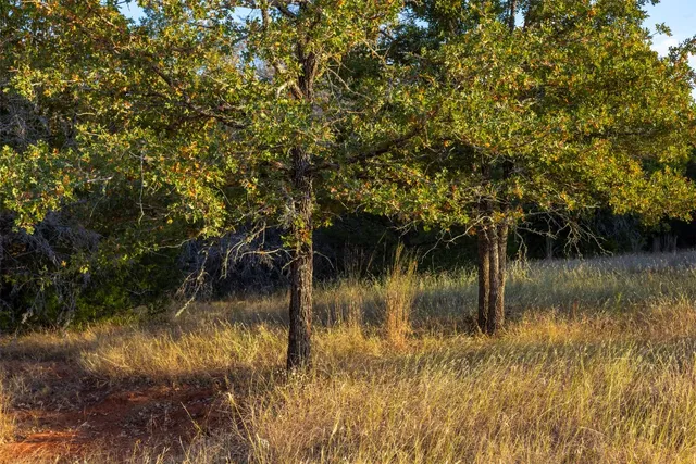 a bird view of a living room