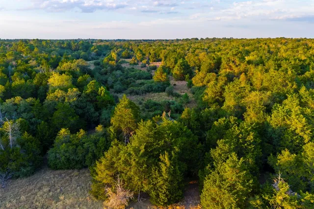 $2,286,886 | 1400 Farm To Market 535, Smithville, TX 78957