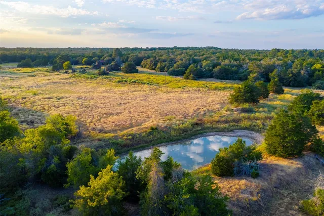 a view of a house with a tree and a yard
