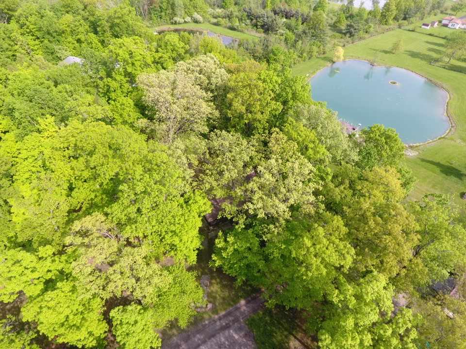 4429 Butler Road Fort Wayne, IN 46808 - Photo 4 of 36