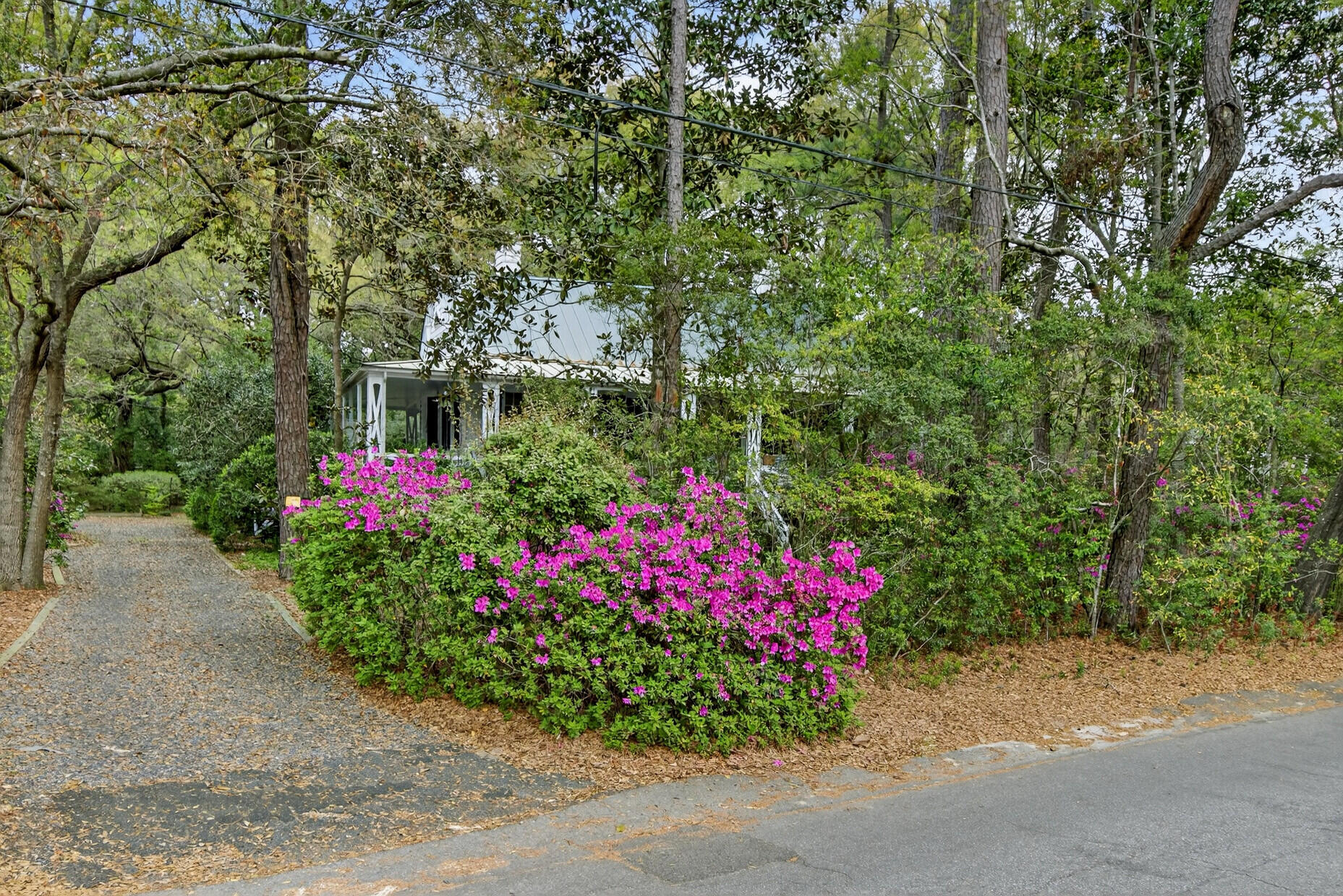 108 Rutherford Street Summerville, SC 29483 - Photo 5 of 85 108 Rutherford Street