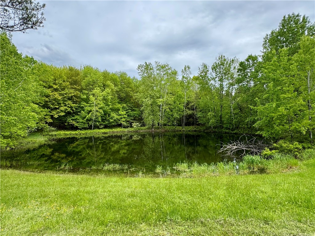 188 Collars Road Oneonta, NY 13820 - Photo 3 of 50