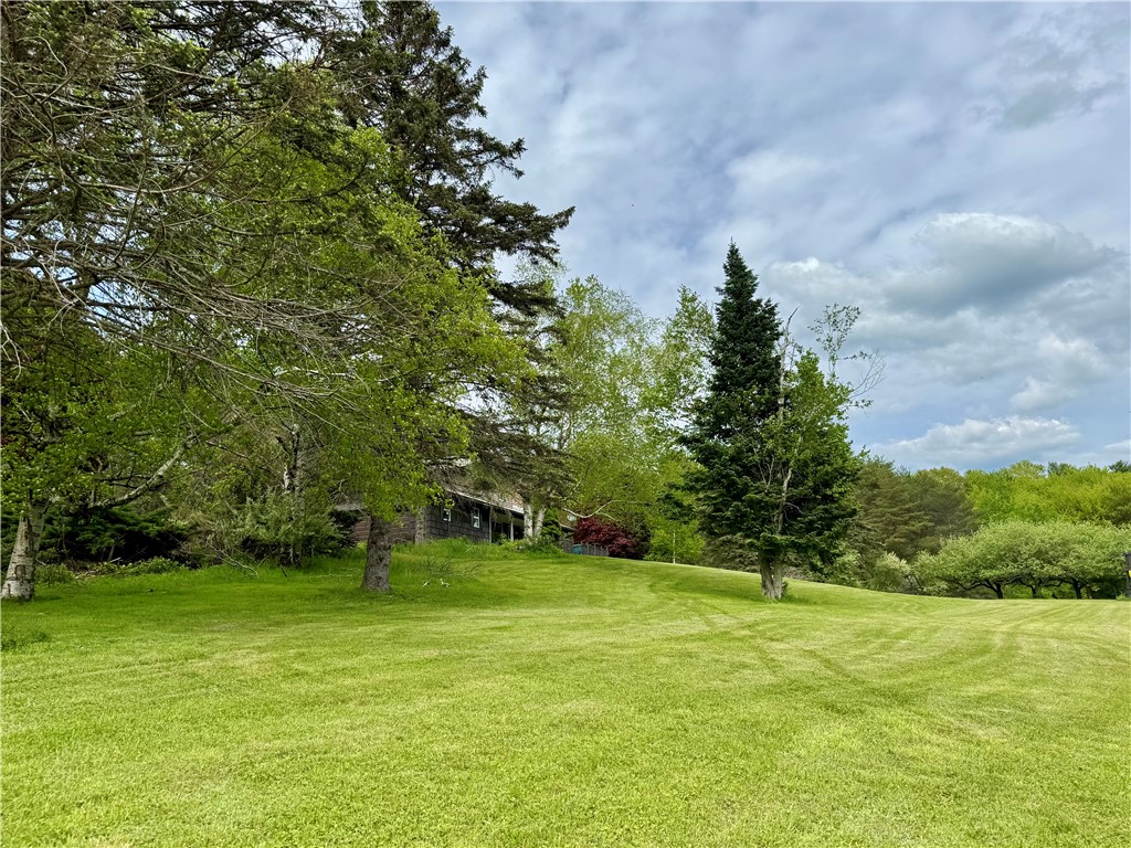 188 Collars Road Oneonta, NY 13820 - Photo 38 of 50