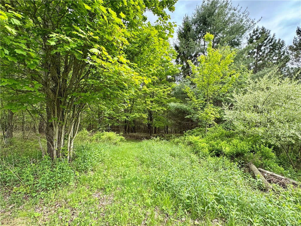 188 Collars Road Oneonta, NY 13820 - Photo 9 of 50