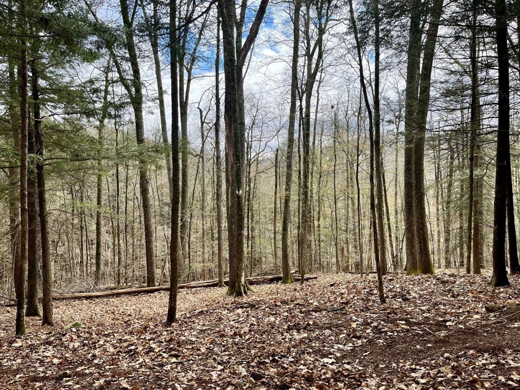0 Packard Road Cummington, MA 01026 - Photo 1 of 7 Gallery Image 1