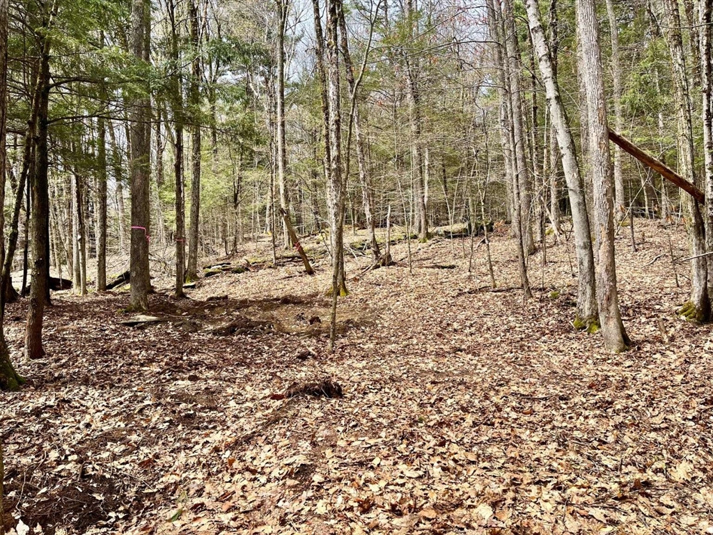 0 Packard Road Cummington, MA 01026 - Photo 3 of 7 Gallery Image 3