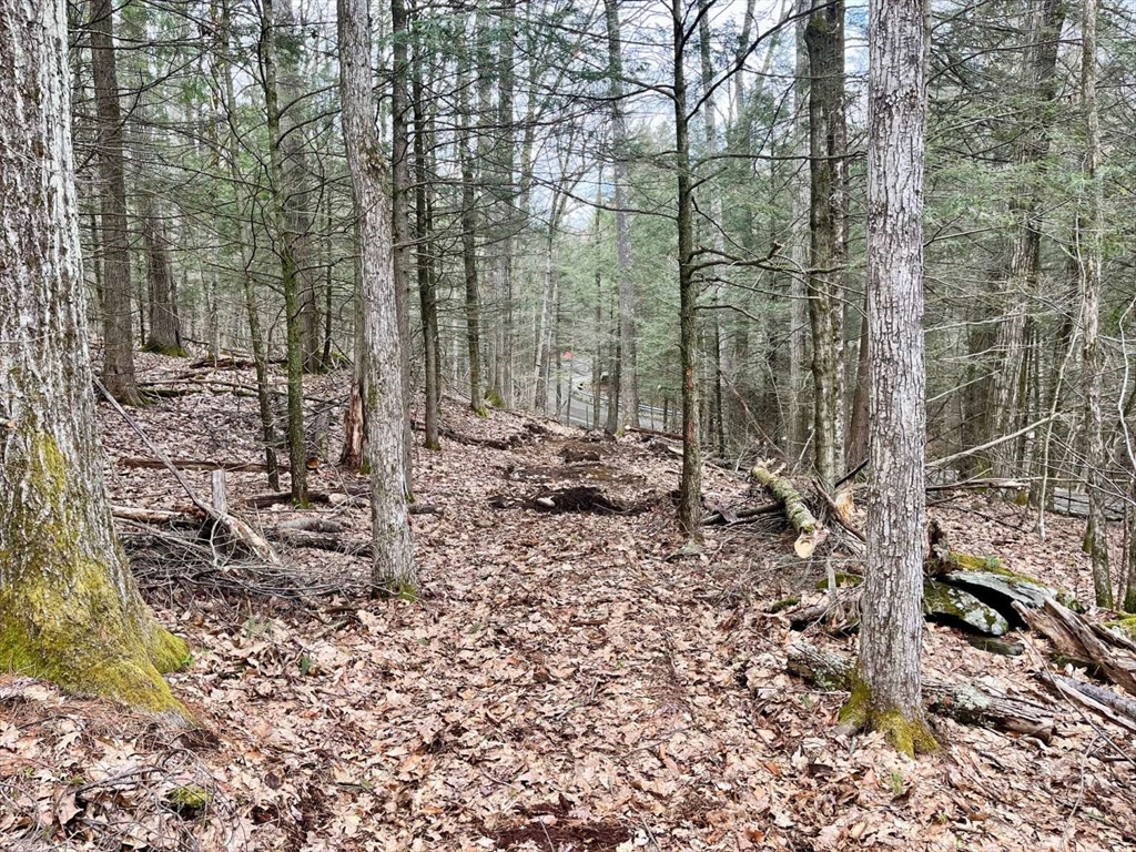 0 Packard Road Cummington, MA 01026 - Photo 5 of 7 Gallery Image 5