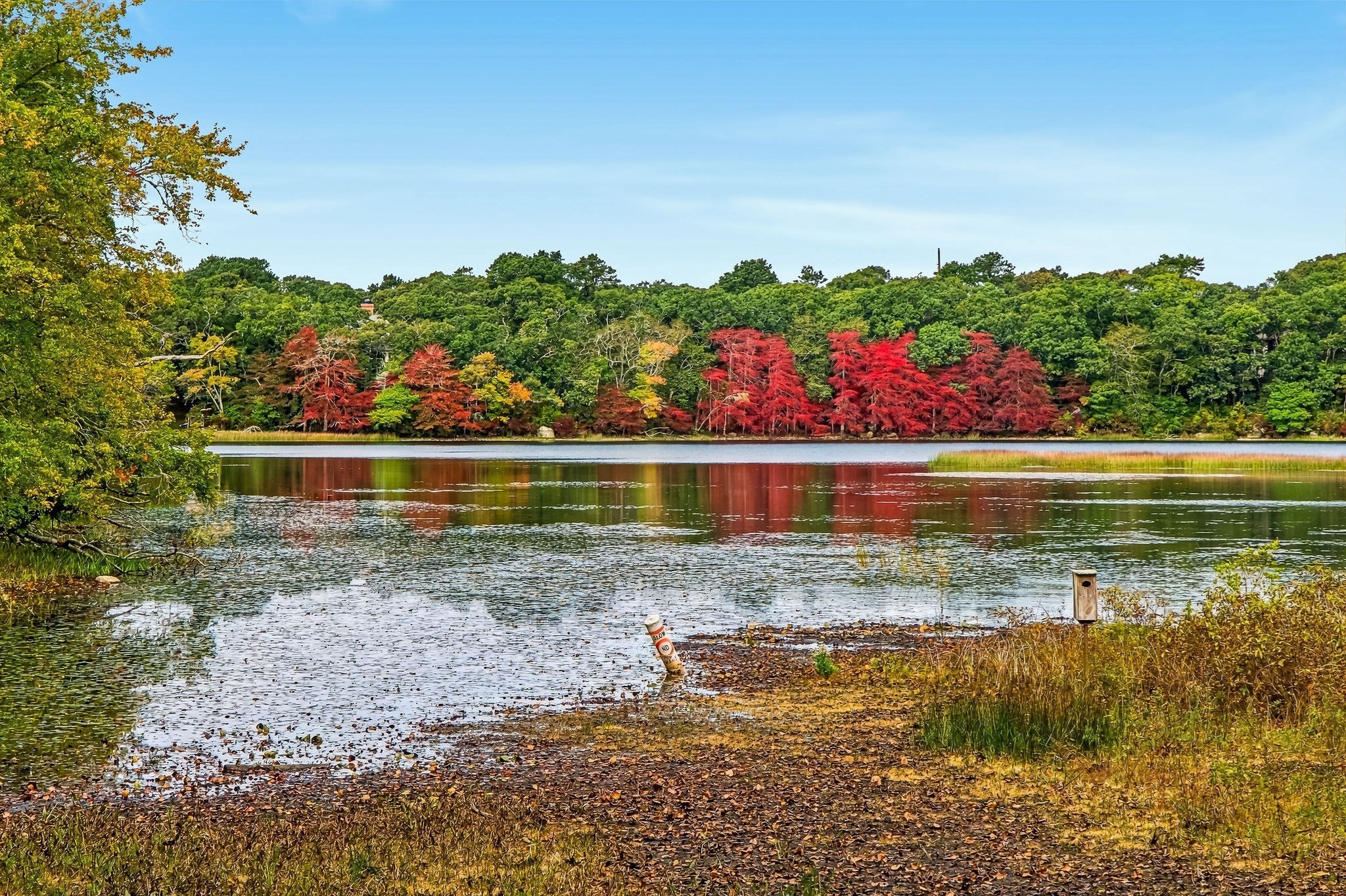 155 Damon Road Brewster, MA 02631 - Photo 40 of 41 Gallery Image 40