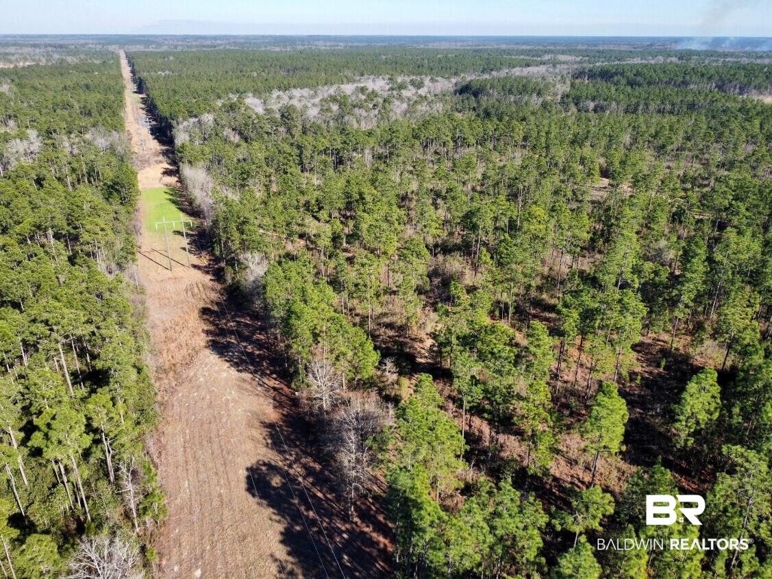 White Road Bay Minette, AL 36507 - Photo 31 of 32 Drone / aerial view with a wooded view