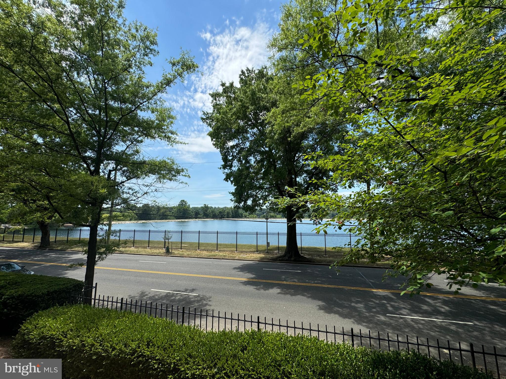 4625 MacArthur Boulevard Northwest, Unit A Washington, DC 20007 - Photo 13 of 14 a view of park with tree