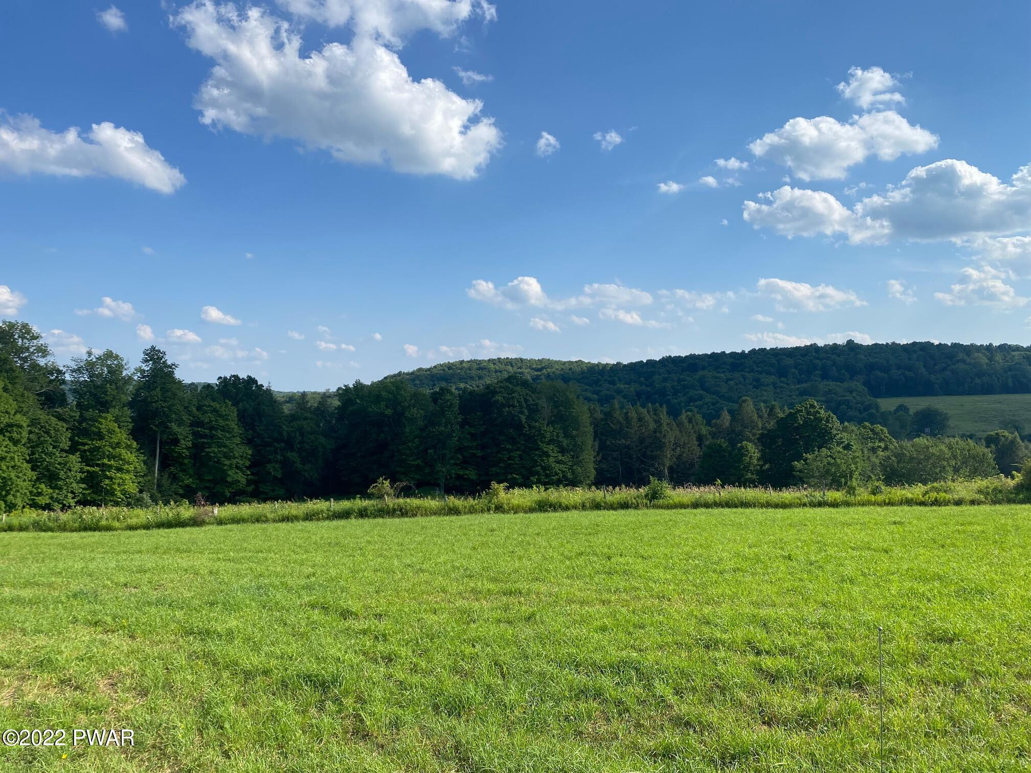 Calkins Road Milanville, PA 18443 - Photo 3 of 30