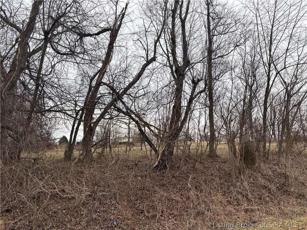 S Cape Battletown, IN 47137 - Photo 3 of 5