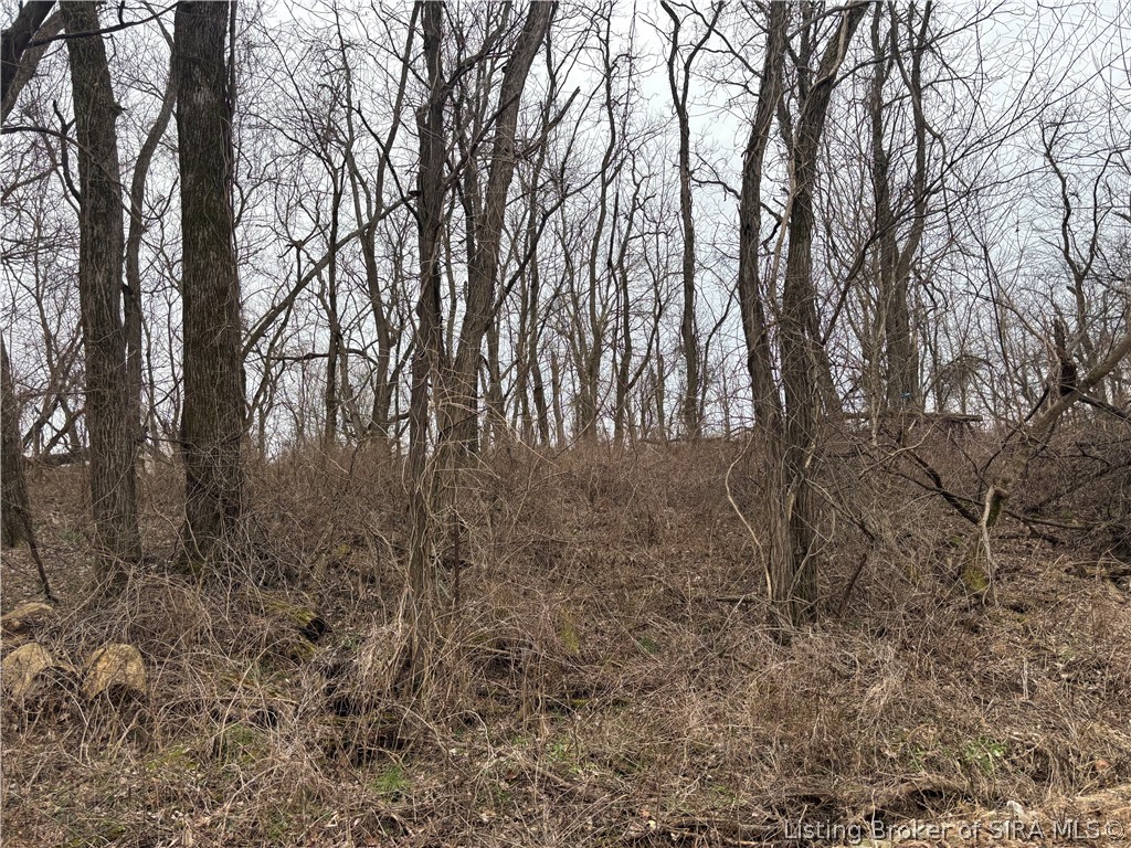 S Cape Battletown, IN 47137 - Photo 4 of 5