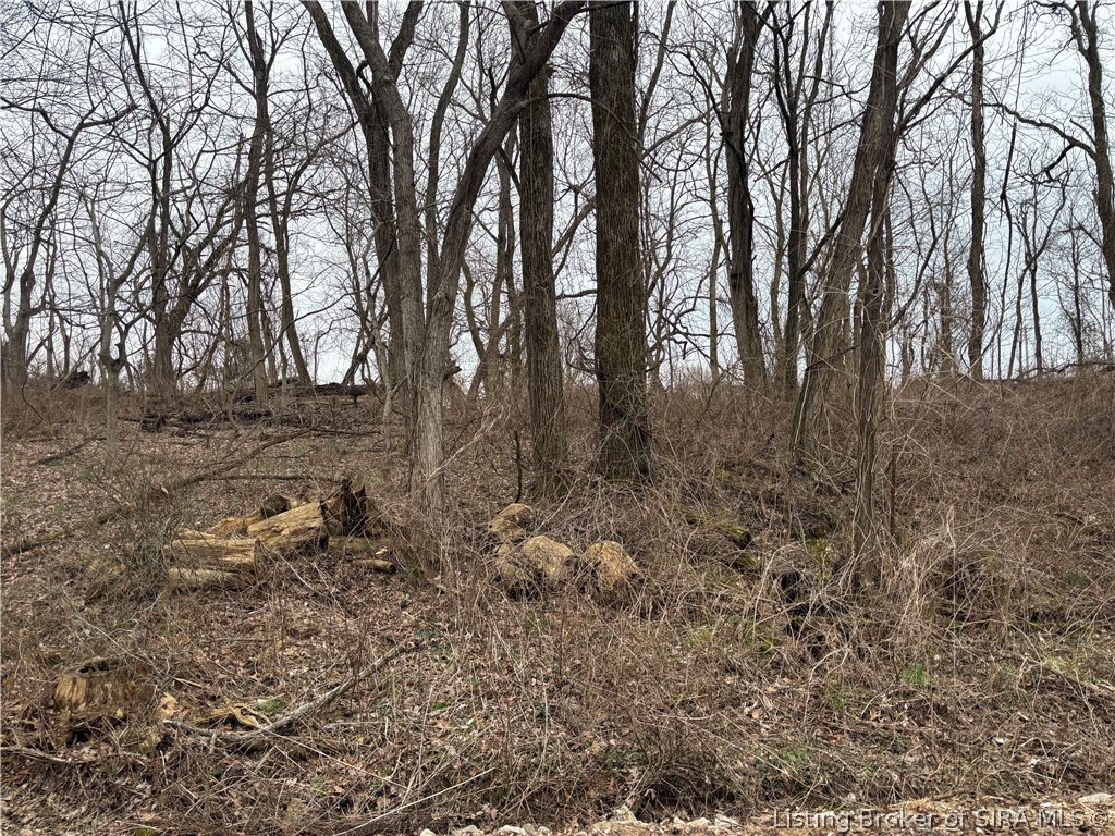 S Cape Battletown, IN 47137 - Photo 5 of 5