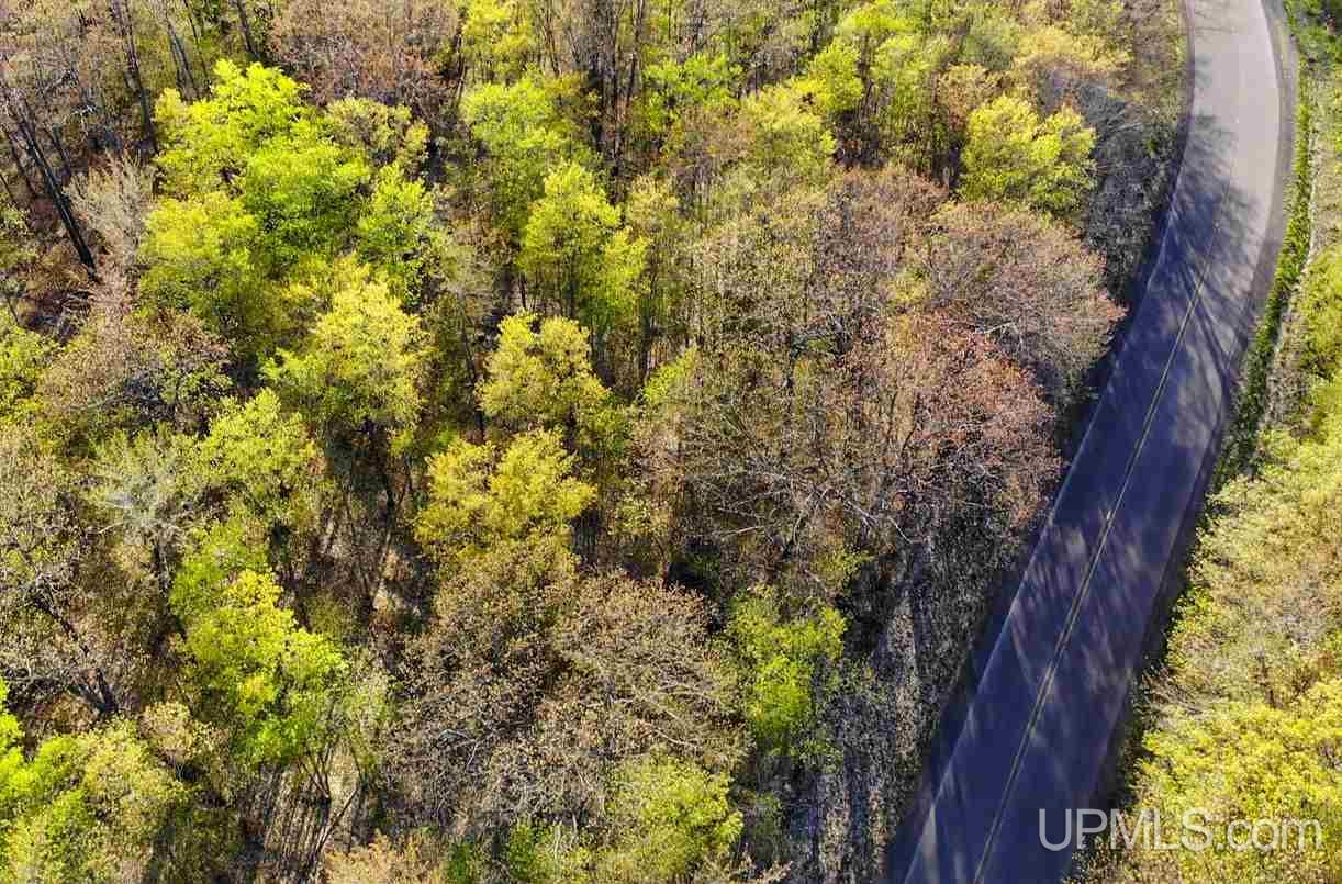 Tbd Coles Creek Road, Unit PARCEL 11 Hancock, MI 49931 - Photo 4 of 12