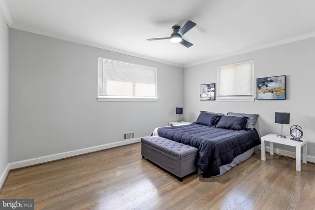 a living room with a bed furniture and a window