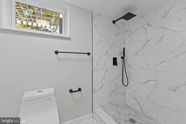 a bathroom with a shower and toilet