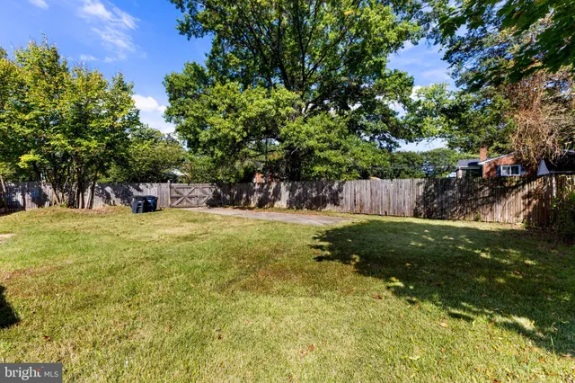 a view of a yard with plants and a bench