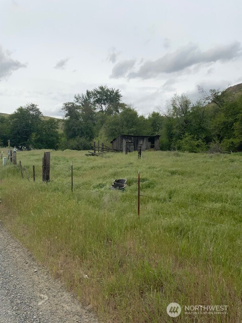 438 Fairview Road Pomeroy, WA 99347 - Photo 5 of 8 a view of outdoor space with green field and trees