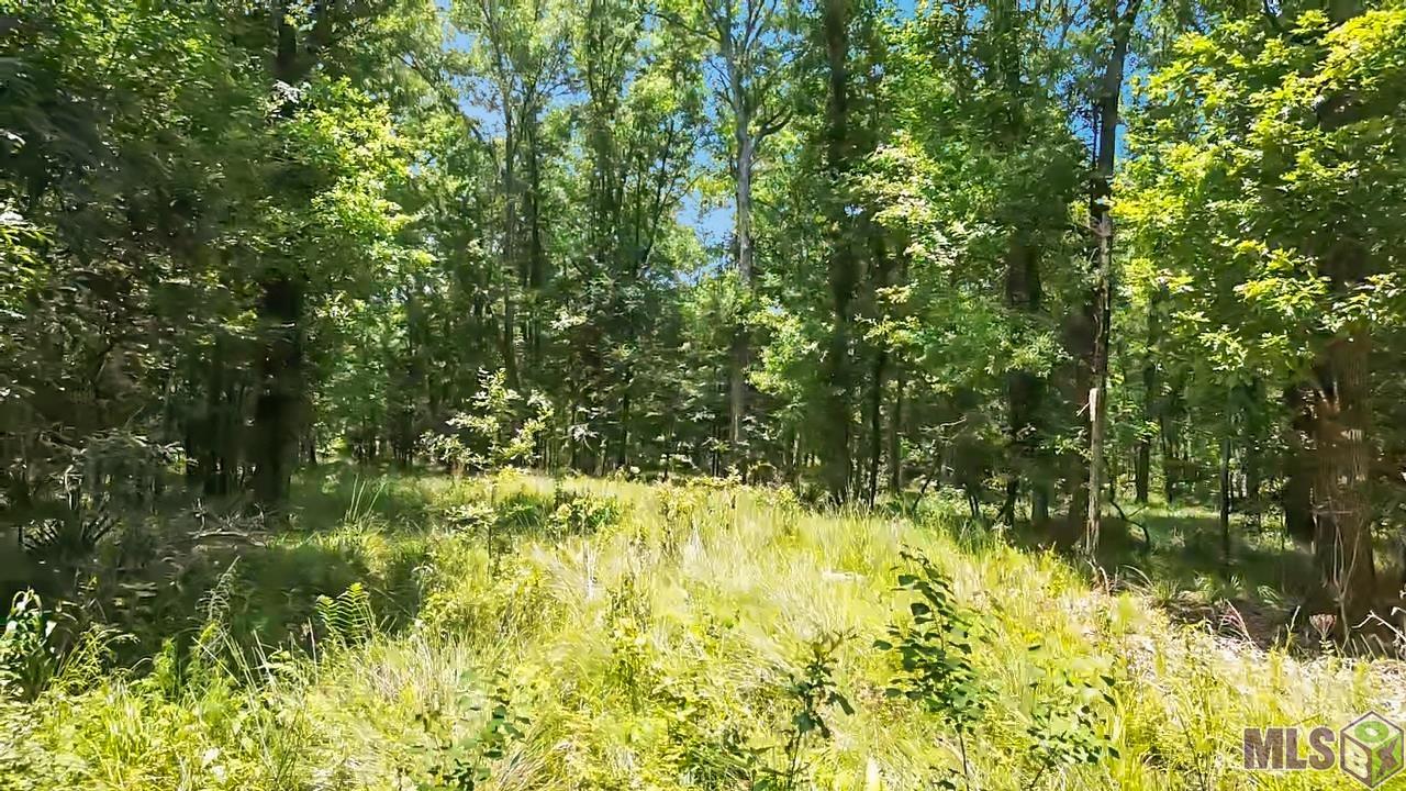 Tract C Picou Road Maurepas, LA 70449 - Photo 5 of 10