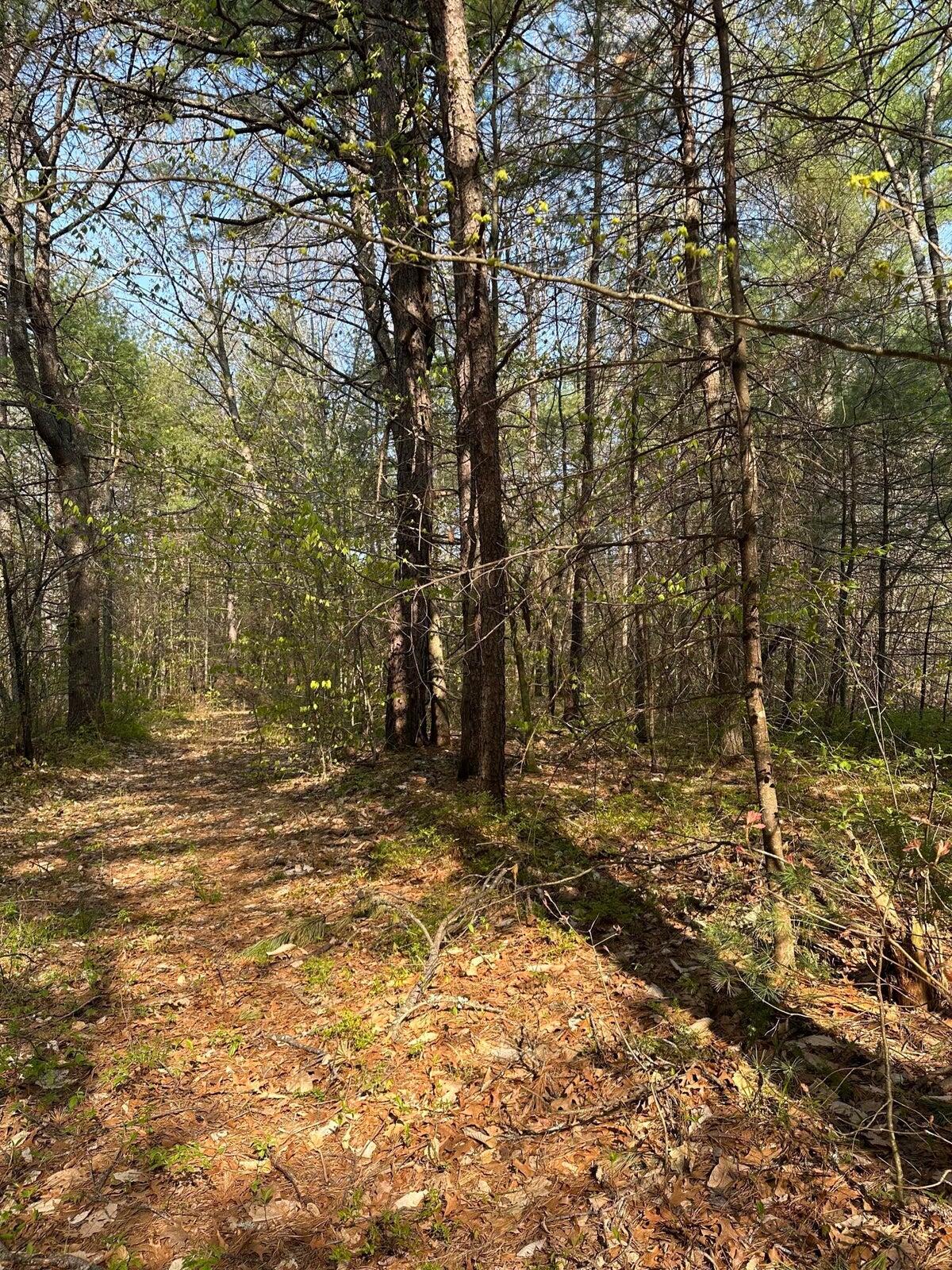 219 B Wakefield Road Hollis Center, ME 04042 - Photo 5 of 5 Pic 5