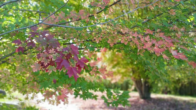 $385,000 | 852 Pollander Road, Cambridge, VT 05464