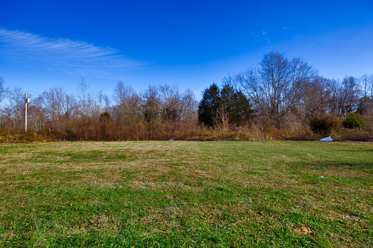 244 East Prospect Road Fayetteville, TN 37334 - Photo 20 of 24 a yard with lots of green space