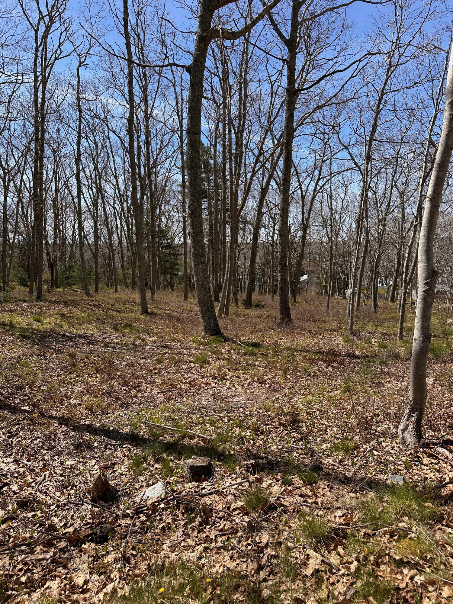 30 Gaffney Hill Road New Harbor, ME 04554 - Photo 6 of 10 IMG_6458