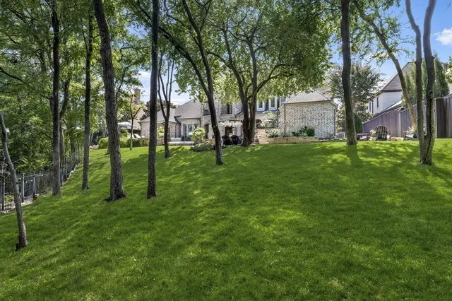 a view of a backyard with large trees