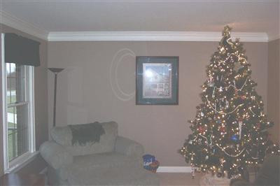 218 Victoria Way Georgetown, KY 40324 - Photo 3 of 14 Photo 3